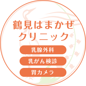 鶴見はまかぜクリニック 乳腺外科・乳がん検診・胃カメラ